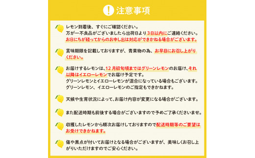 国産檸檬（レモン）発祥の地 広島大長檸檬 2.5kg - 広島県呉市