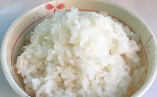 A234 【令和5年産】 みやまのきよみず米 にこまる 10kg 白米