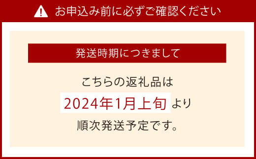 【天然発酵堆肥で育てた】2～3L 紅ほっぺ15粒