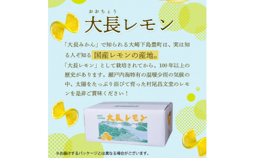 国産檸檬（レモン）発祥の地 広島大長檸檬 2.5kg - 広島県呉市