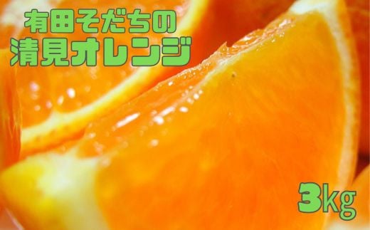 【2025年2月下旬～3月下旬順次発送予定】有田育ちの完熟清見オレンジ(ご家庭用)　約3kg【ard016A】 1077947 - 和歌山県串本町