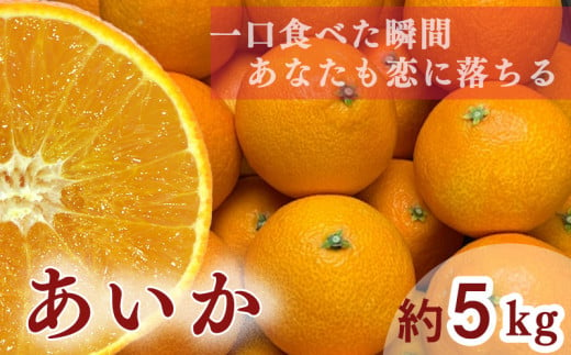 【 先行予約 】【訳あり】農家直送 名前だけが訳あり あいか 5kg | 紅まどんな と同種 みかん 愛媛 松山 フルーツ 果物 くだもの 5キロ 数量限定 期間限定 送料無料 柑橘 みかん フルーツ 果物 みかん ランキング 2024年度 1453579 - 愛媛県松山市