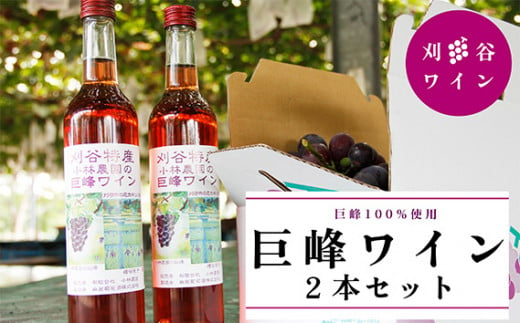 No.070 小林農園　巨峰ワイン2本セット ／ お酒 ロゼワイン 葡萄 ブドウ 愛知県 特産品