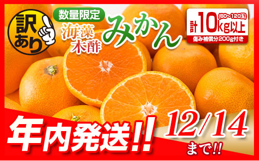 【年内発送】訳あり≪数量限定≫海藻木酢みかん(計10kg以上)傷み補償分200g付き フルーツ 果物 柑橘 ミカン 国産 B207-23