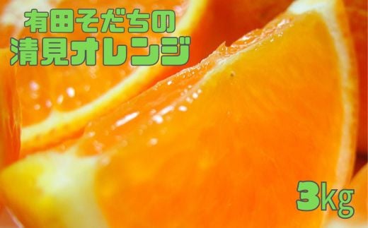 【2025年2月下旬～3月下旬順次発送予定】有田育ちの完熟清見オレンジ(ご家庭用)　約3kg【ard016A】 1075777 - 和歌山県古座川町