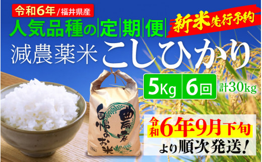 令和6年産新米・先行予約】定期便 ≪12ヶ月連続お届け≫ 減農薬米