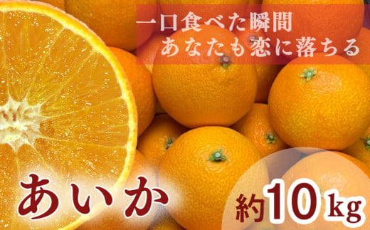 紅まどんな」のふるさと納税 お礼の品一覧【ふるさとチョイス】