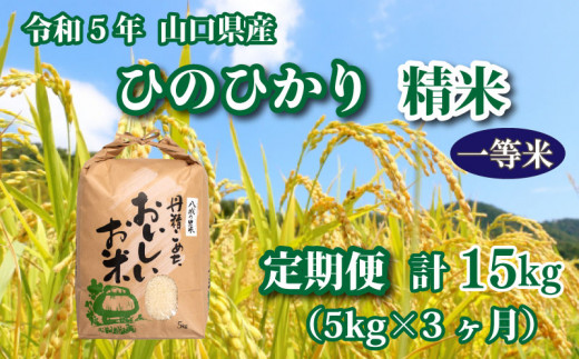 米/穀物令和5年度  山口県産  コシヒカリ  新米  15㎏