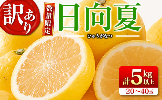 訳あり≪数量限定≫日向夏(計5kg以上) フルーツ 果物 柑橘 みかん 国産