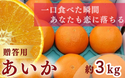 【 先行予約 】【訳あり】農家直送 名前だけが訳あり あいか 3kg 贈答用 | 紅まどんな と同種 みかん愛媛 松山 フルーツ 果物 くだもの 3キロ 数量限定 期間限定 送料無料 柑橘 みかん フルーツ 果物 みかん ランキング 2024年度 1453581 - 愛媛県松山市