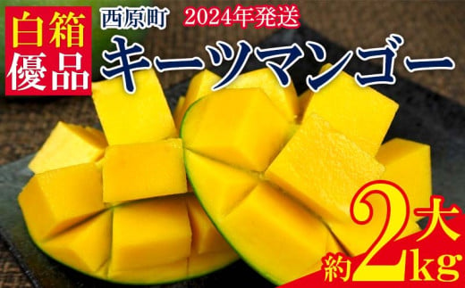 【2024年発送】西原町　キーツマンゴー（大）約2kg　白箱入・優品