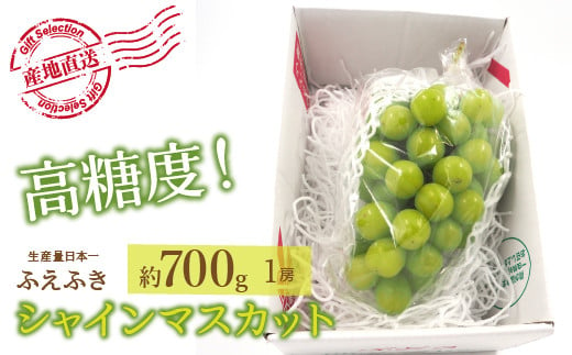 25年発送先行予約＞厳選！山梨県笛吹市産 シャインマスカット 約700g（1房） 156-005 / 山梨県笛吹市 | セゾンのふるさと納税