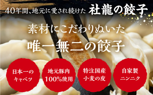 [5月末金額改定予定]訳あり 無添加 手造り 餃子 150個入 絶品 こだわり タレ付き 国産 鍋 のトッピング 簡易包装 小分け お手軽 簡単調理 健康志向 ニンニク にんにく 三万円 30000円