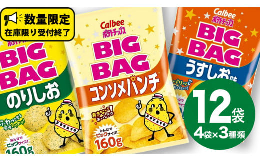 茨城県牛久市のふるさと納税 カルビー ポテトチップス BIGBAG 160g 3種 各4袋セット (計 12袋 ) うすしお ・ のりしお ・ コンソメパンチ ポテチ お菓子 おかし 大量 スナック おつまみ ジャガイモ じゃがいも まとめ買い 数量限定