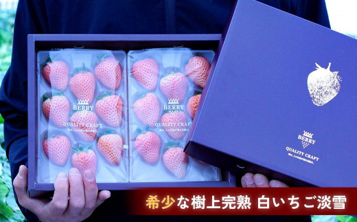 完熟クラフト苺BERRY】濃厚な樹上完熟イチゴ 1品種ずつ3回届くセット