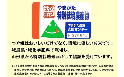 山形県小国町産 つや姫・雪若丸 山形ブランド食べ比べセット（各5kg