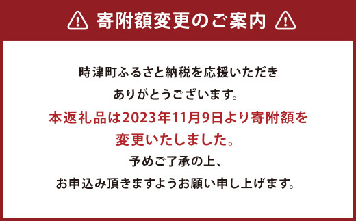 【6ヶ月定期便】長崎県産 本マグロ「中トロ」約700g