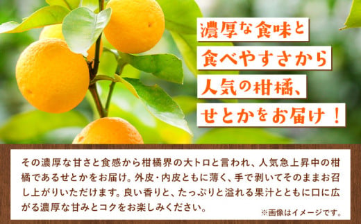 和歌山県日高町のふるさと納税 ＜先行予約＞家庭用 せとか 約 1.2kg+36g（傷み補償分）【柑橘・春みかんの王様】【光センサー選果・食べ頃出荷】《2月上旬から4月中旬出荷》 池田鹿蔵農園 和歌山県 日高町 家庭用 訳あり せとか わけあり セトカ ミカン 柑橘 柑橘類 【配送不可地域あり】送料無料