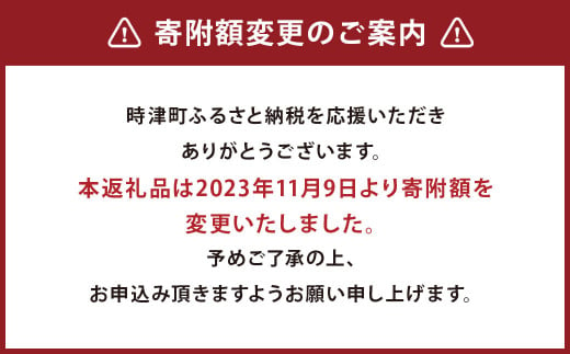 【12ヶ月定期便】長崎県産 本マグロ「中トロ」約700g