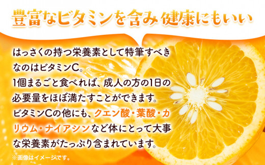 厳選 はっさく 八朔 みかん 5kg ＋150g(傷み補償分) 池田鹿蔵農園 @日