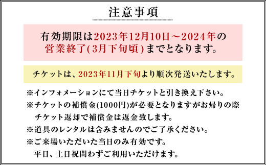 くじゅう森林公園スキー場 1日分 リフトフリーパス券〈2023-2024season〉2名様分 