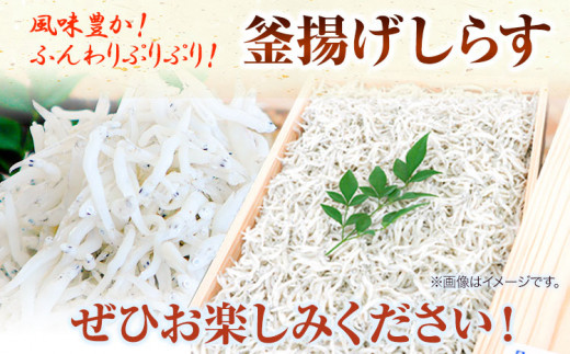 釜あげしらす 木箱 900g 大五海産《60日以内に出荷予定(土日祝除く)》和歌山県 日高町 釜揚げ しらす 魚 いわし シラス 釜揚げシラス 海産物  海鮮 海鮮丼 丼 シラス丼 しらす丼 和歌山県産 送料無料