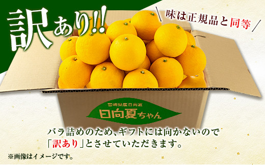 訳あり≪数量限定≫日向夏(計5kg以上)　フルーツ　果物　柑橘　みかん　国産　バラ詰め BB98-23
