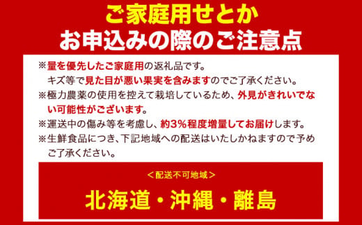 和歌山県日高町のふるさと納税 ＜先行予約＞家庭用 せとか 約 1.2kg+36g（傷み補償分）【柑橘・春みかんの王様】【光センサー選果・食べ頃出荷】《2月上旬から4月中旬出荷》 池田鹿蔵農園 和歌山県 日高町 家庭用 訳あり せとか わけあり セトカ ミカン 柑橘 柑橘類 【配送不可地域あり】送料無料