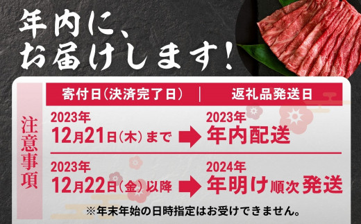 宮崎県産黒毛和牛A4等級以上 高千穂牛サーロインステーキ 250g×2枚_A1