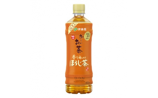 2024年1月発送開始『定期便』おーいお茶ほうじ茶600ml　48本(2ケース)全3回【5128948】