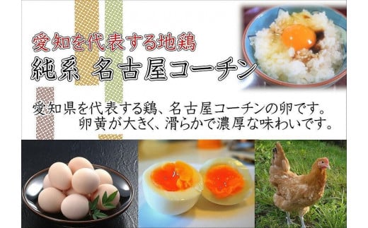【3か月定期便】日本三大地鶏！！ 「純系　名古屋コーチンの卵」（30個）　本当に美味しい食べ物は調味料の味に負けません！