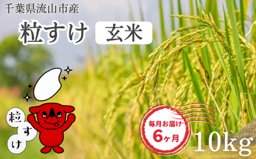 【毎月定期便6回】粒すけ 米 10kg 玄米 新品種 大粒子 1137469 - 千葉県流山市