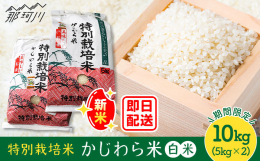 即日発送！】特別栽培米 かじわら米 新米 計10kg（5kg×2）＜農事組合 ...