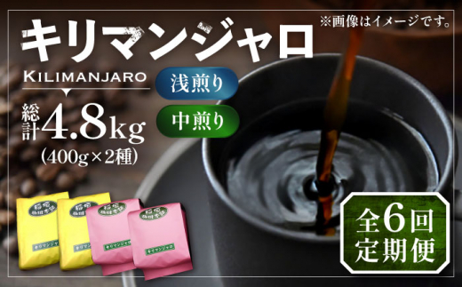 【豆でお届け】【全6回定期便】キリマンジャロ コーヒー 2種 ( 浅煎り フルーツフレーバー ＆ 中煎り チョコレートフレーバー )《豊前市》【稲垣珈琲】珈琲 コーヒー 豆 粉 [VAS192] 1122680 - 福岡県豊前市