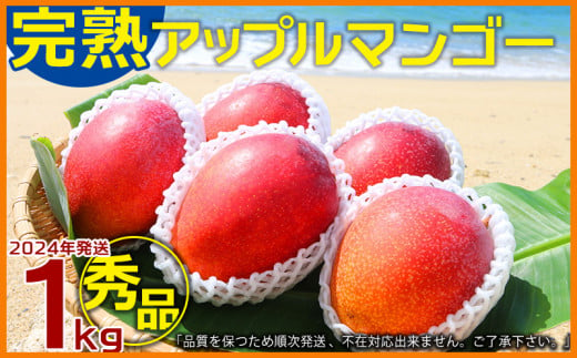 農園一番人気の完熟アップルマンゴー　秀品・約1kg【2024年発送】農園から直送！