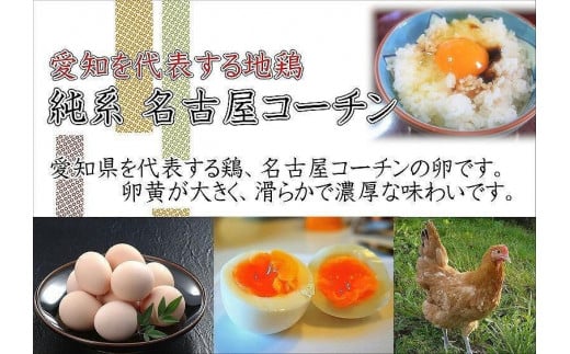 日本三大地鶏!! 「純系 名古屋コーチンの卵」（30個）　本当に美味しい食べ物は調味料の味に負けません！