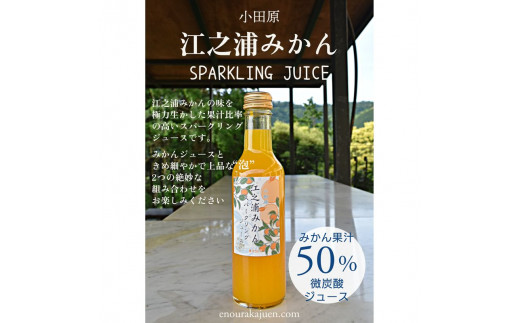 小田原産江之浦みかんスパークリング果汁入り飲料果汁５０％２００ml３０本