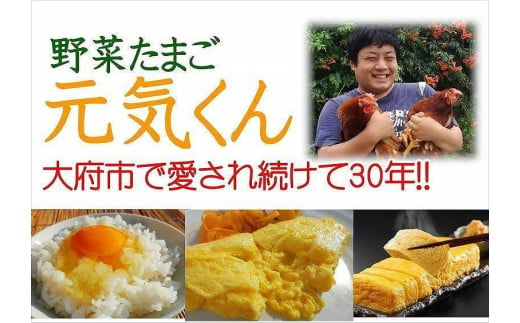 日本三大地鶏!! 「純系 名古屋コーチンの卵」（30個） 本当に美味しい