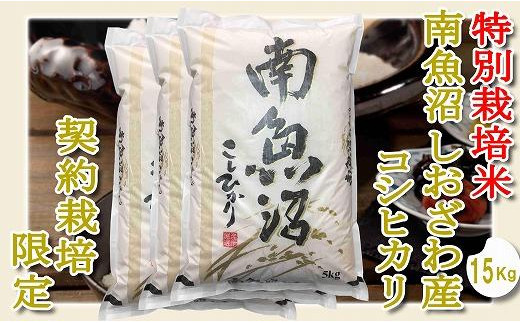 【精米１５Kg】特別栽培 生産者限定 南魚沼しおざわ産コシヒカリ