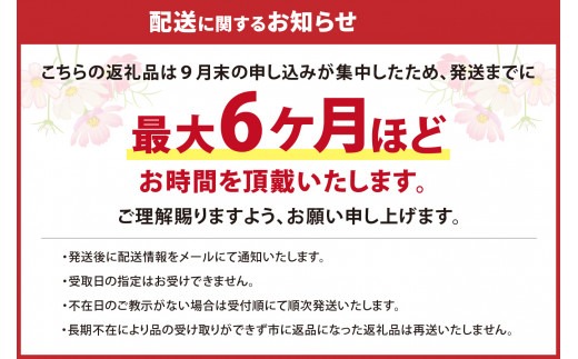 鉄板焼ハンバーグ デミソース 20個【A5-248】 - 福岡県飯塚市