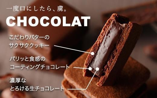 【VANILLABEANS】ショーコラ8個入｜バレンタイン チョコ チョコレート クッキーサンド お菓子 おかし スイーツ ギフト プレゼント  詰め合わせ バニラビーンズ