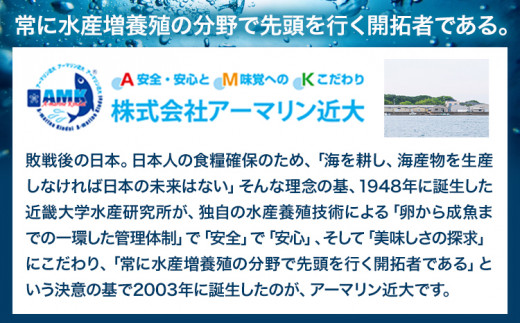 近大キャビア 10g ～ 20g アーマリン近大 《90日以内に順次出荷（土日