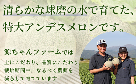 【2024年4月下旬以降発送分 先行予約】熊本県産 アンデスメロン 2玉 合計約3kg 【 果物 フルーツ 旬 ネットメロン 熊本県 多良木町  農家直送 贈り物 ギフト ご褒美 】 089-0687-a