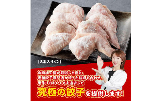 年内発送】令和5年12月発送》宮崎 手羽ぎょうざ 16本 1kg 【 鶏肉 鳥