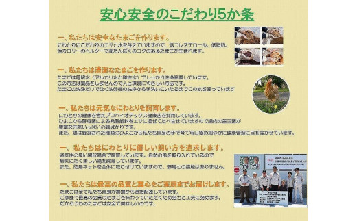 愛知県大府市のふるさと納税 日本三大地鶏!! 「純系 名古屋コーチンの卵」（30個）　本当に美味しい食べ物は調味料の味に負けません！