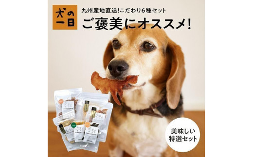 福岡市【無添加 犬のおやつ】九州産地直送！こだわり6種セット