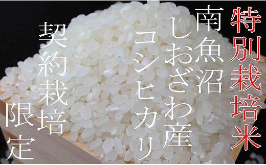 【定期配送６Kg×９ヶ月】特別栽培 生産者限定 南魚沼しおざわ産コシヒカリ