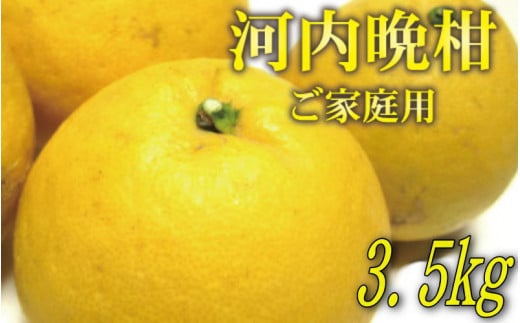 【2025年4月発送】【和製グレープフルーツ】有田育ちの河内晩柑(ご家庭用)　約3.5kg※北海道・沖縄・離島配送不可 / みかん ミカン オレンジ 柑橘 フルーツ 果物 旬【ard028A】 1480775 - 和歌山県紀美野町