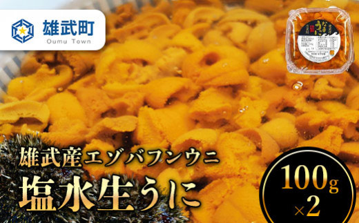 【お申込多数につき6/20にて販売終了】北海道オホーツク雄武産 エゾバフンウニ 塩水生うに (100ｇｘ2)【01023】