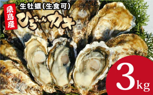 殻付き牡蠣 中サイズ 3kg（36個前後）牡蠣 生カキ 生食用 殻付き カキ 生牡蛎 生食可  ひろちゃんカキ / 糸島市 [AJA003] 518193 - 福岡県糸島市